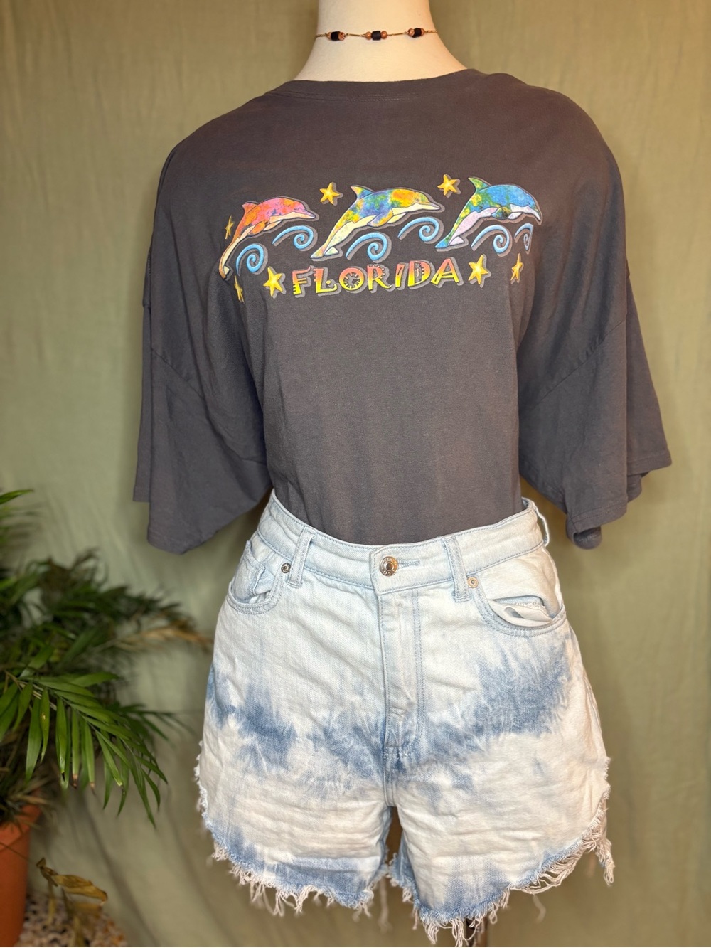 Charcoal Florida Dolphin Graphic Tee